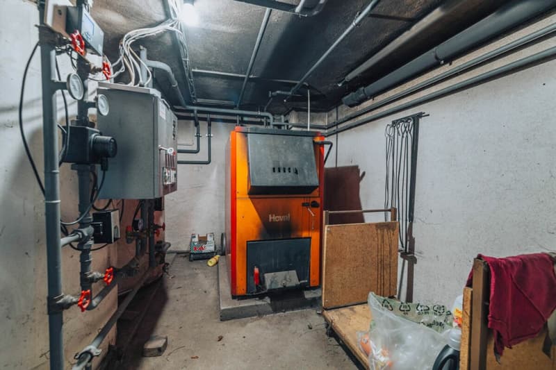 3-Party MFH with many ancillary rooms + garages (24)