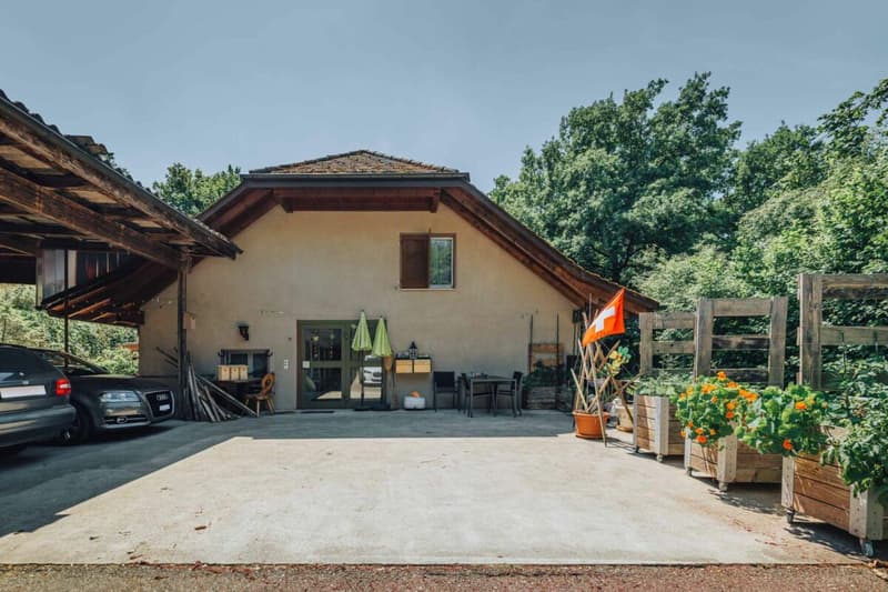 3-Party MFH with many ancillary rooms + garages (2)