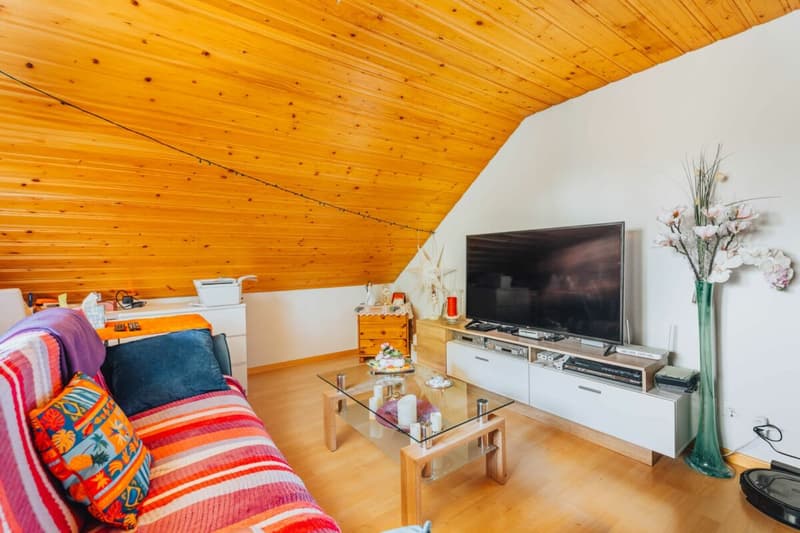 3-Party MFH with many ancillary rooms + garages (17)