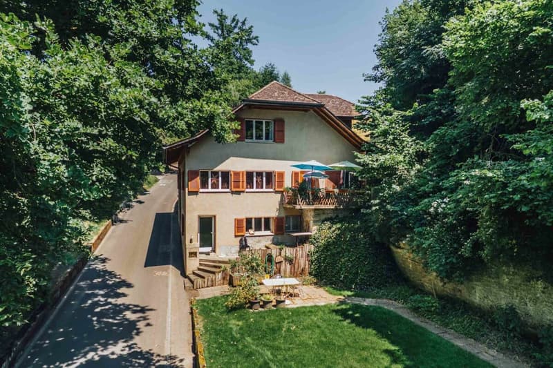 3-Party MFH with many ancillary rooms + garages (1)