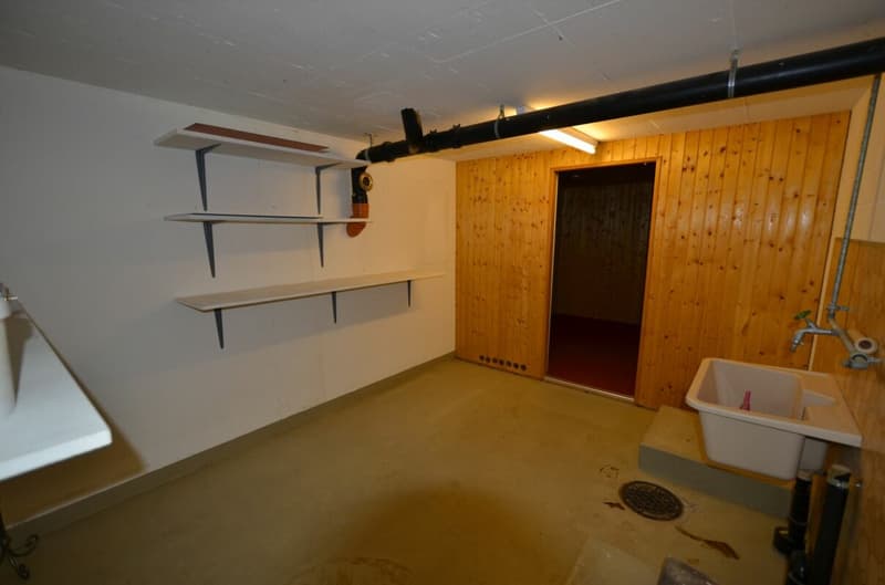 4 1/2-Zimmer-Dachwohnung mit Wintergarten (12)