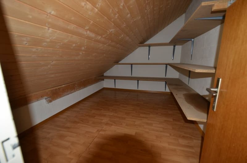 4 1/2-Zimmer-Dachwohnung mit Wintergarten (15)