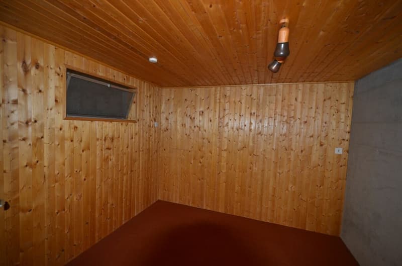 4 1/2-Zimmer-Dachwohnung mit Wintergarten (14)