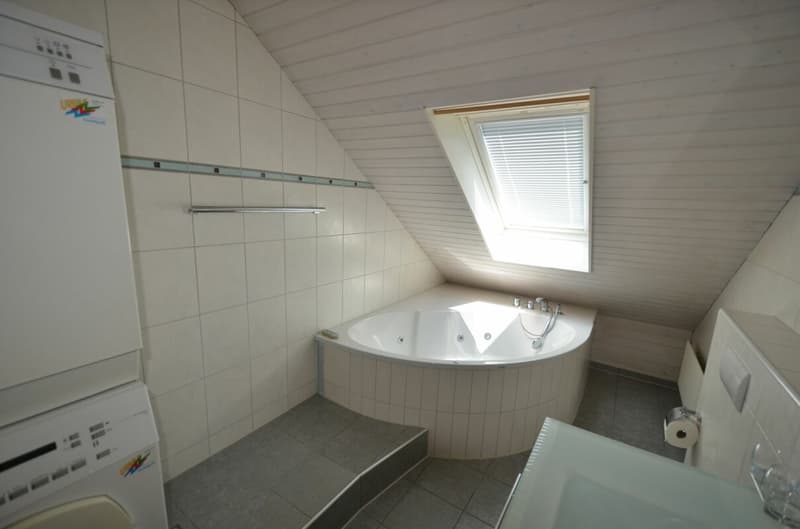 4 1/2-Zimmer-Dachwohnung mit Wintergarten (6)