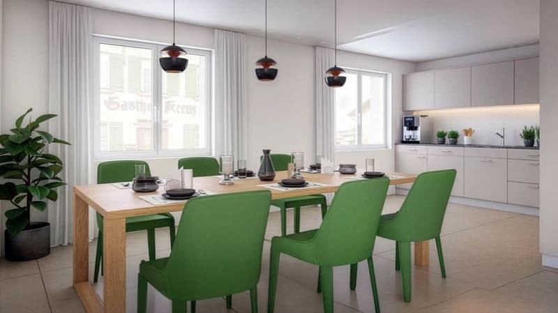 Newly built 4.5-room owner-occupied apartment with gallery (6)