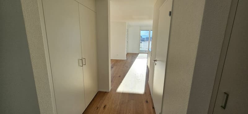 Moderne 4.5-Zimmer-Wohnung mit zwei Badezimmern, grosser Loggia und hochwertigem Ausbaustandard (5)