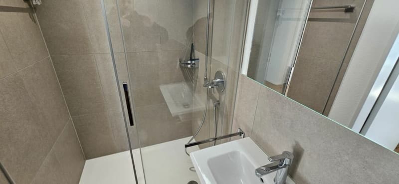 Moderne 4.5-Zimmer-Wohnung mit zwei Badezimmern, grosser Loggia und hochwertigem Ausbaustandard (12)