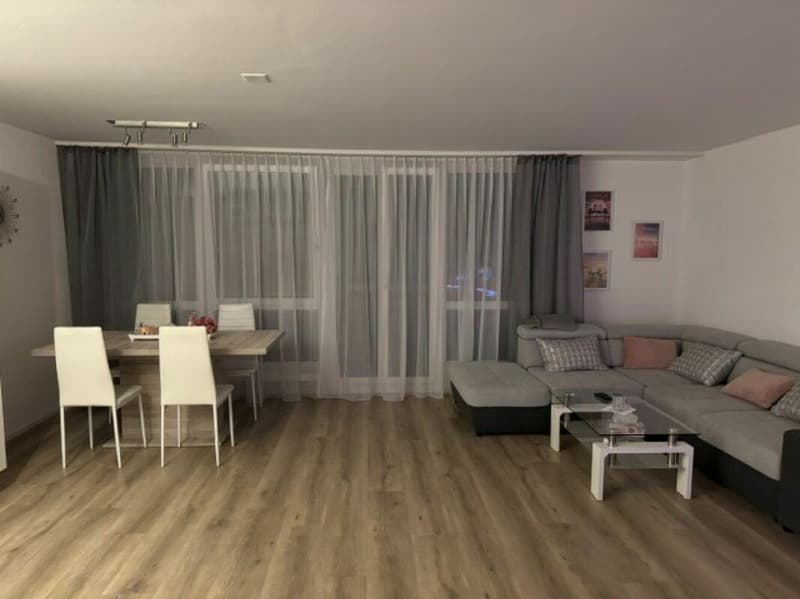 Appartamento 2.5 locali - Ricercasi subaffittuario (3)