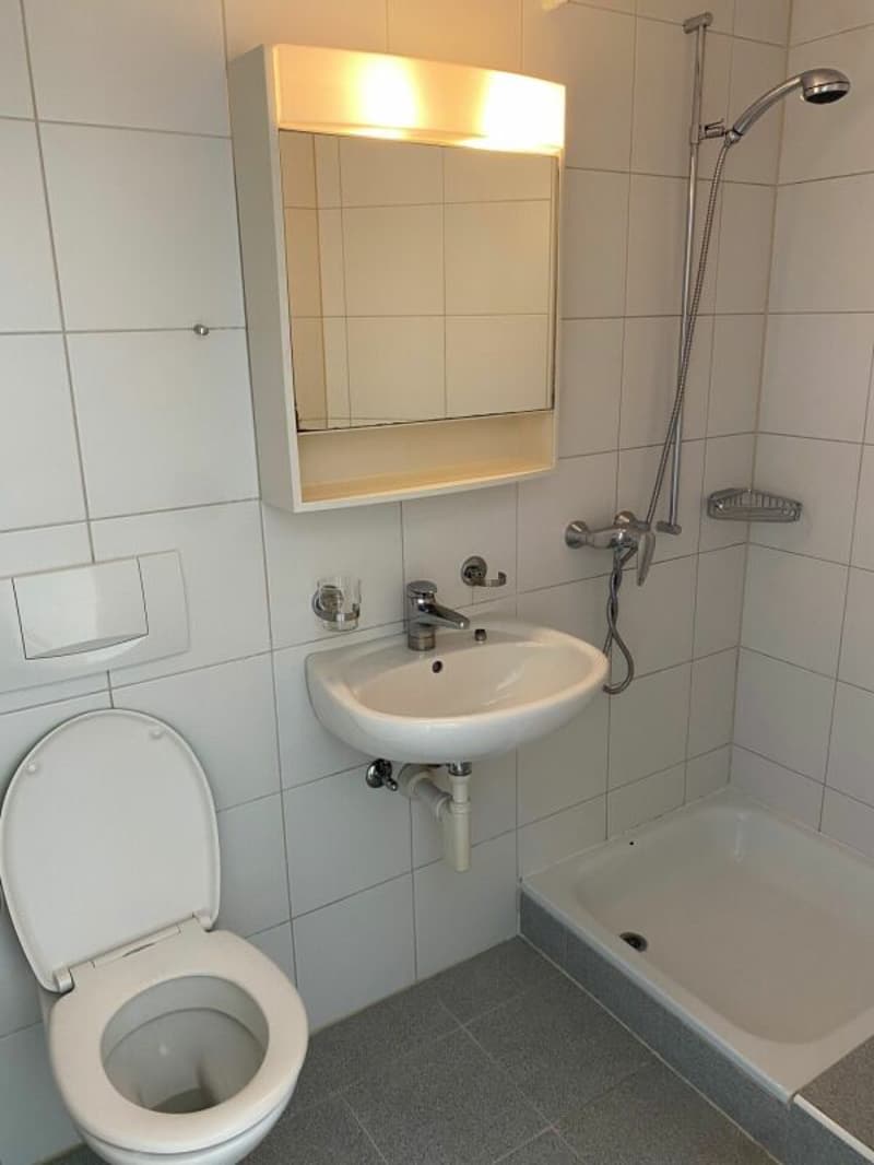 Grosszügige 4.5-Zimmer-Gartenwohnung mit gedecktem Sitzplatz (9)