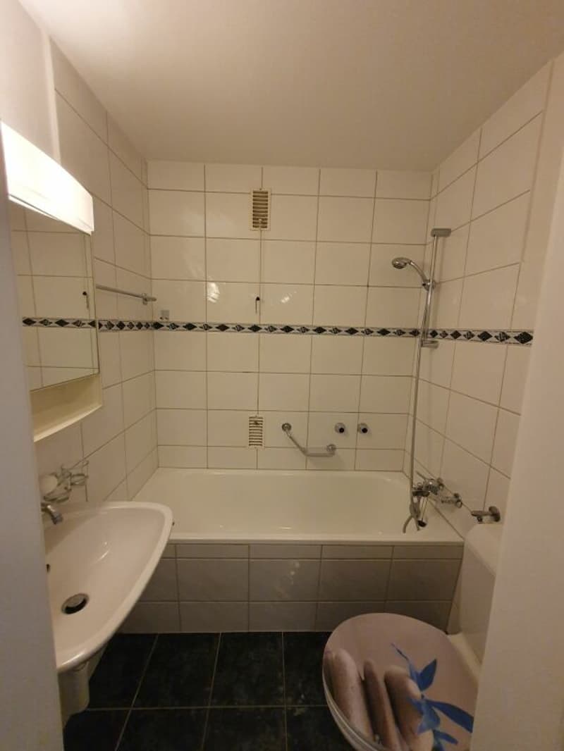 Nachmieter gesucht. (7)