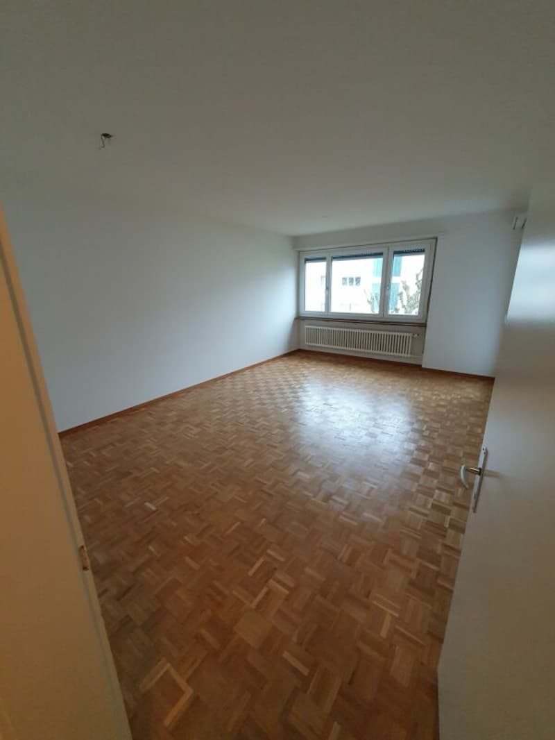 Nachmieter gesucht. (4)