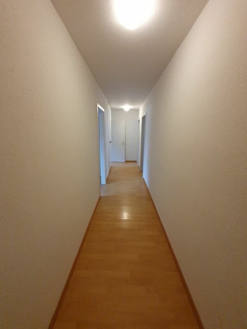Nachmieter gesucht. (8)