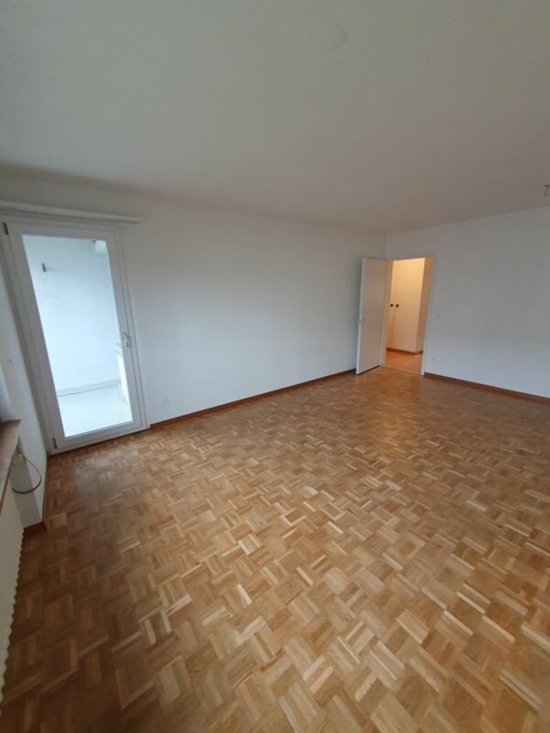Nachmieter gesucht. (3)