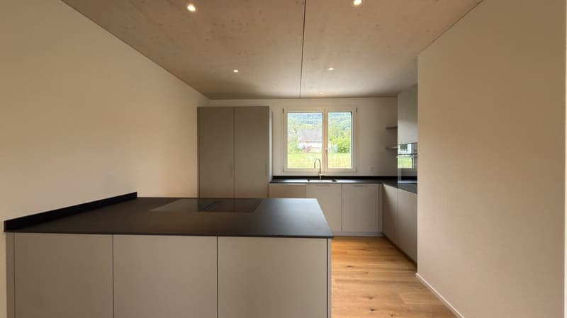 Neubau-Reiheneinfamilienhaus mit vielen Extras in Oberbipp (4)