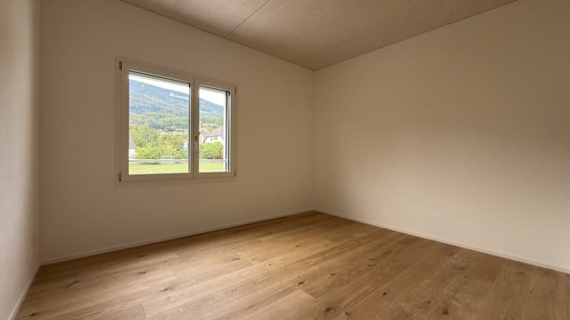 Neubau-Reiheneinfamilienhaus mit vielen Extras in Oberbipp (9)