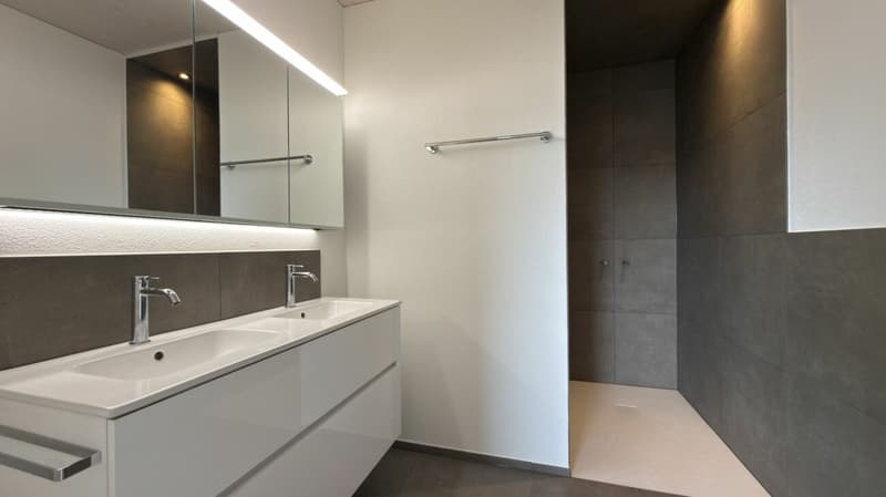 Neubau-Reiheneinfamilienhaus mit vielen Extras in Oberbipp (12)