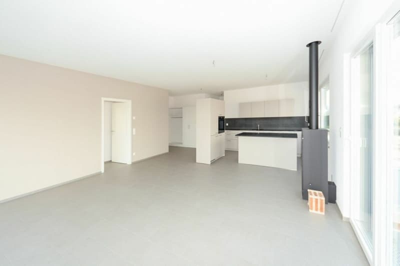 Sensationelle 3 1/2-Zimmerwohnung-Attika (2)
