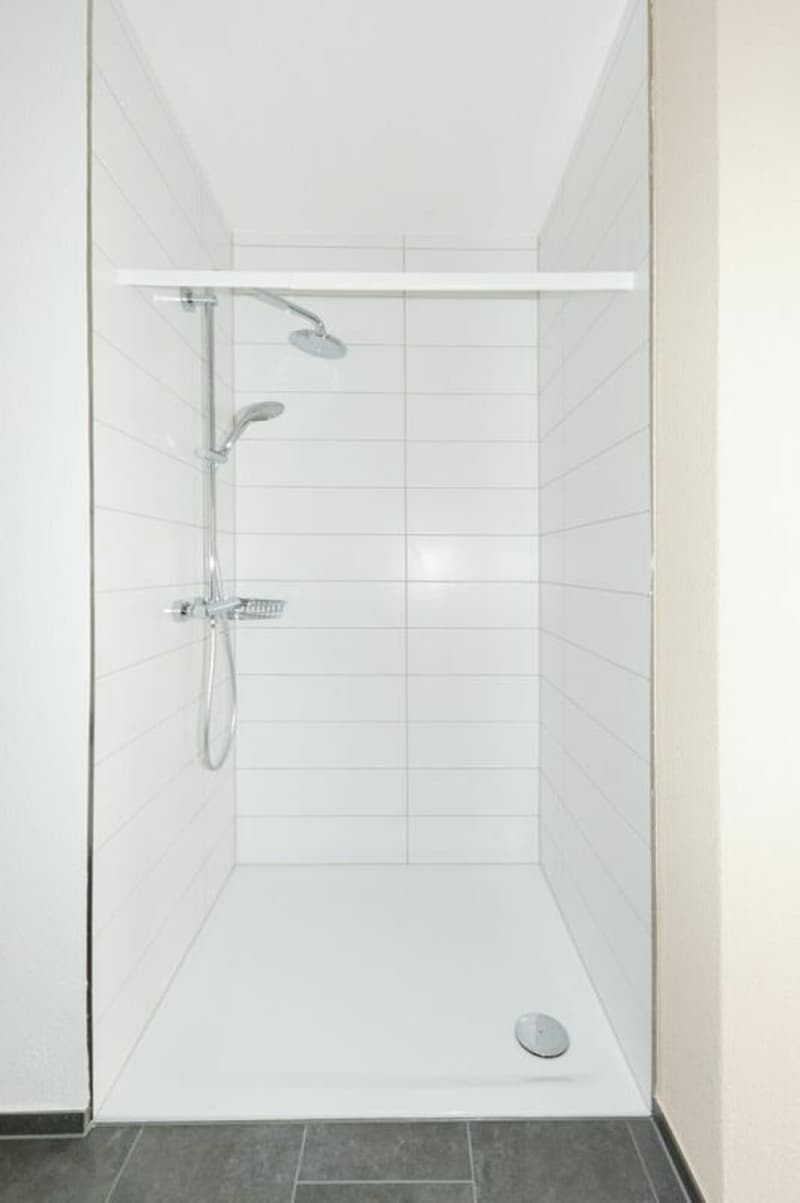 Sensationelle 3 1/2-Zimmerwohnung-Attika (8)