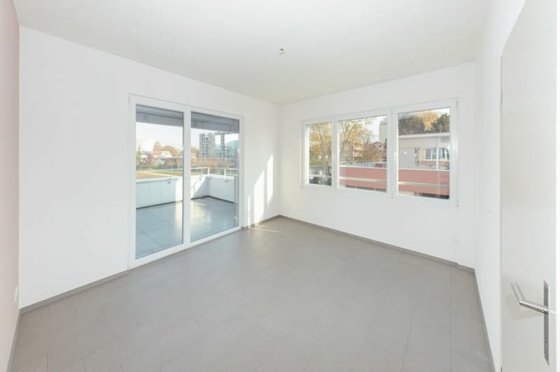 Sensationelle 3 1/2-Zimmerwohnung-Attika (3)