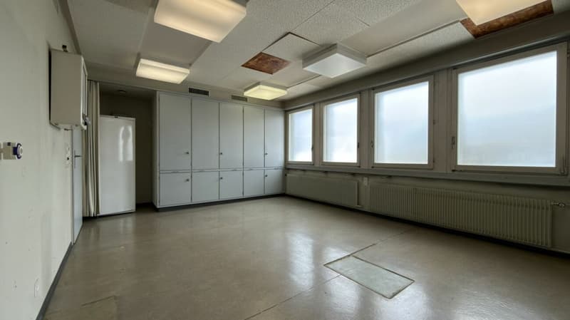 Wohnen und Arbeiten unter einem Dach: Grosszügige 11.5-Zimmer-Liegenschaft in Langenthal (17)