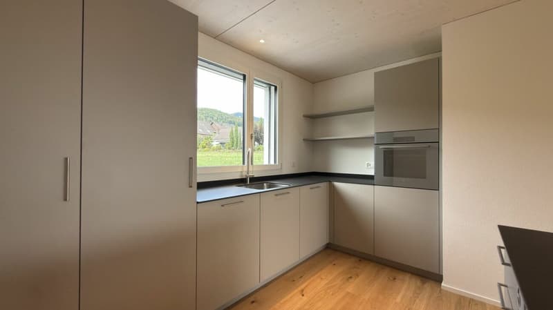 Neubau-Reiheneinfamilienhaus mit vielen Extras in Oberbipp (4)