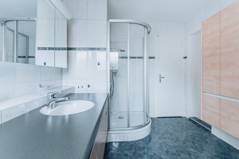 Grosszügige 5.5-Zimmer-Wohnung mit beeindruckender Dachterrasse (10)