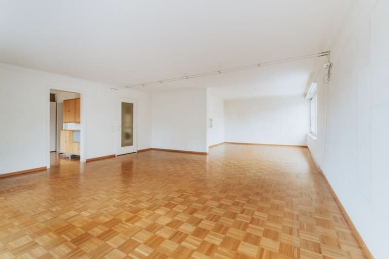 Grosszügige 5.5-Zimmer-Wohnung mit beeindruckender Dachterrasse (8)