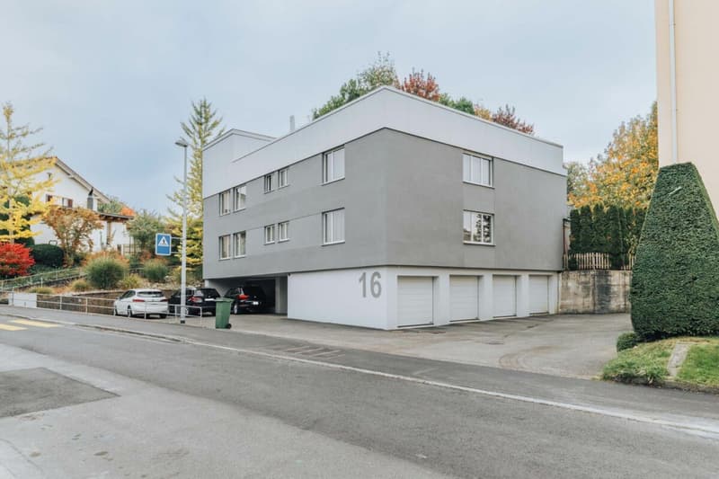 Grosszügige 5.5-Zimmer-Wohnung mit beeindruckender Dachterrasse (1)