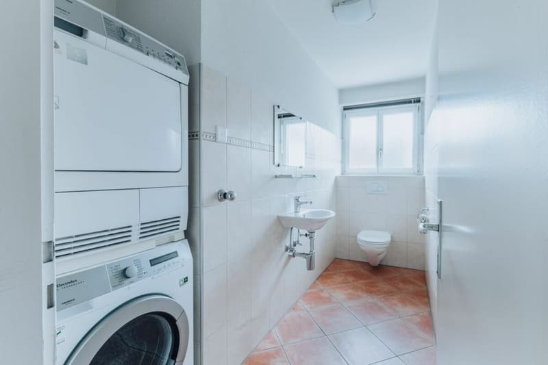 Grosszügige 5.5-Zimmer-Wohnung mit beeindruckender Dachterrasse (12)
