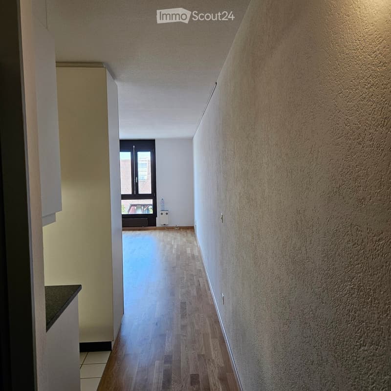 Ottimo appartamento monostanza in ottima posizione urbana! (5)