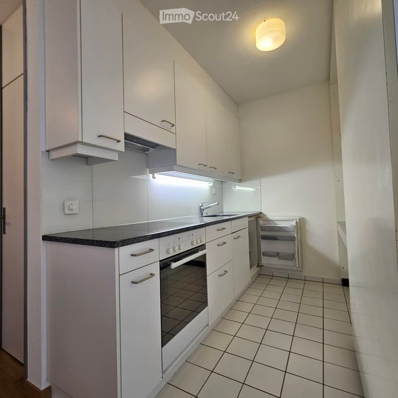 Ottimo appartamento monostanza in ottima posizione urbana! (3)
