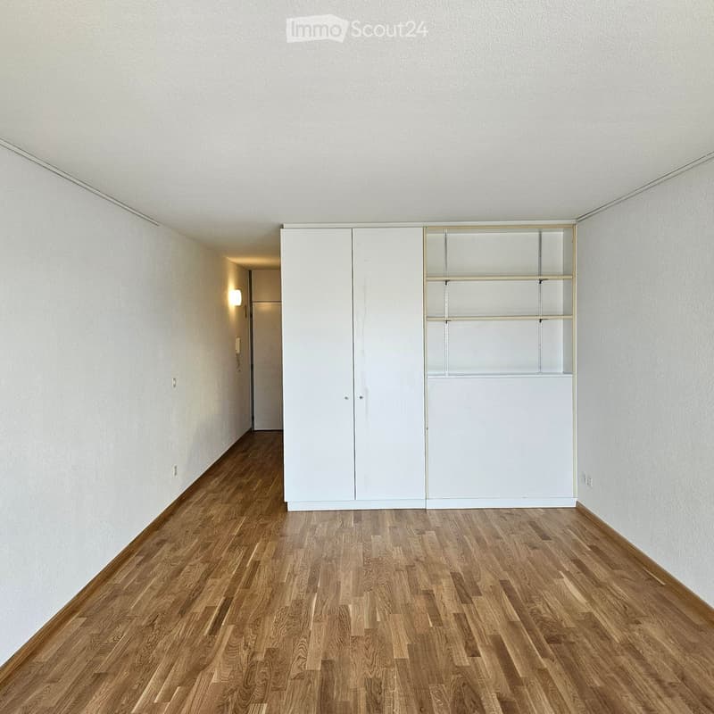 Ottimo appartamento monostanza in ottima posizione urbana! (2)
