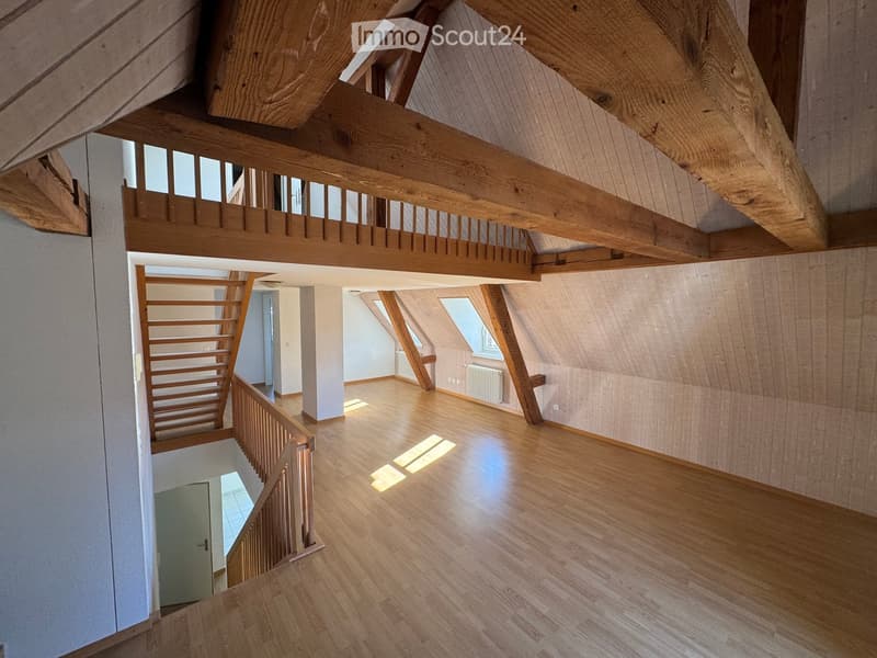 Appartamento luminoso con una vista da sogno sulla città di Berna (3)