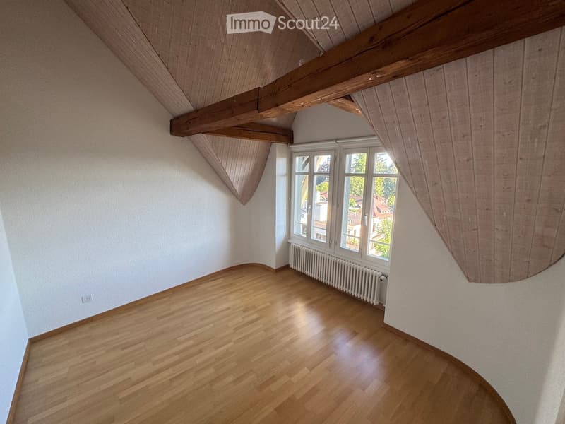 Appartamento luminoso con una vista da sogno sulla città di Berna (8)