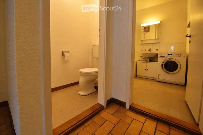 2-Zimmer-Wohnung im charmanten Weissenbühlquartier (7)