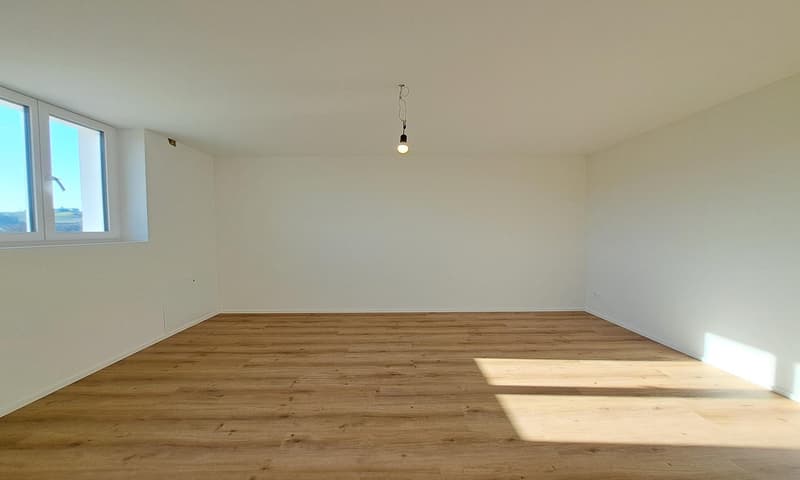 3'084 m² sonniges Hangparadies - mit renditestarkem Dreifamilienhaus (23)