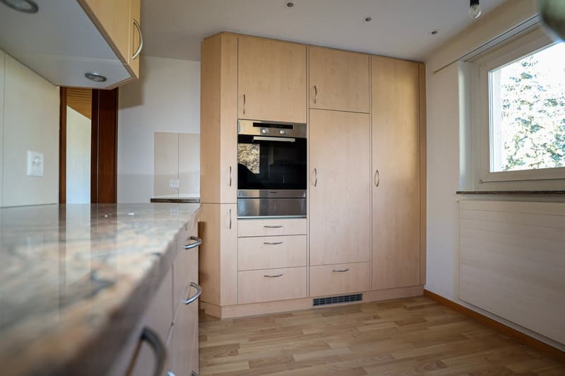 3'084 m² sonniges Hangparadies - mit renditestarkem Dreifamilienhaus (27)