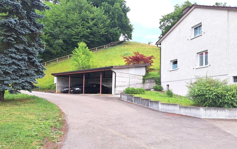 3'084 m² sonniges Hangparadies - mit renditestarkem Dreifamilienhaus (7)