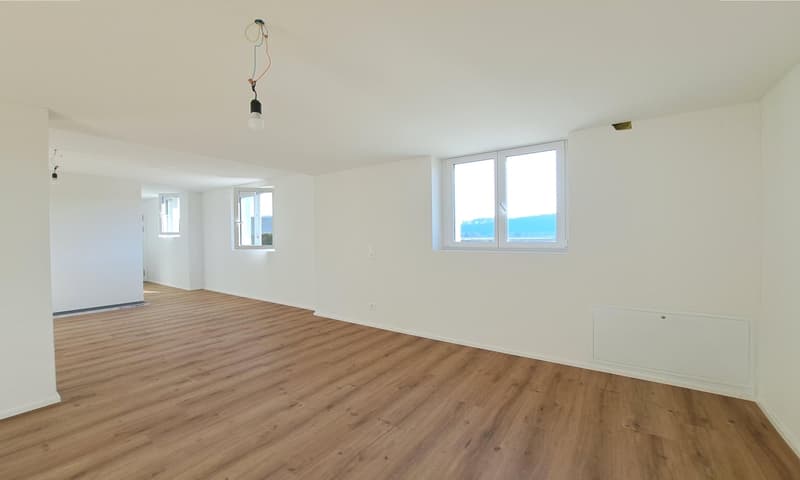3'084 m² sonniges Hangparadies - mit renditestarkem Dreifamilienhaus (22)