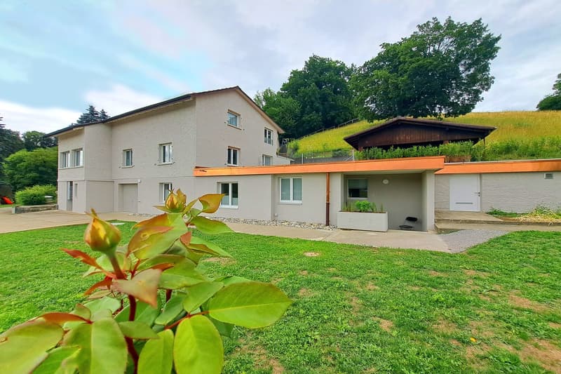 3'084 m² sonniges Hangparadies - mit renditestarkem Dreifamilienhaus (3)