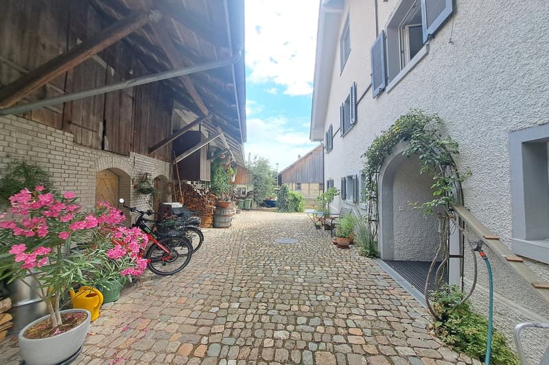 Charmantes Bauernhaus in Rütihof-Baden – mit idyllischem Garten (9)