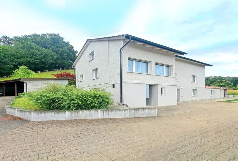 3,084 m² sunny slope paradise - with a lucrative three-family house (5)