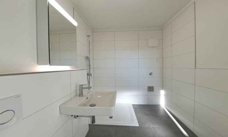 3,084 m² sunny slope paradise - with a lucrative three-family house (25)
