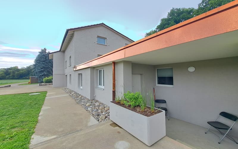 3,084 m² sunny slope paradise - with a lucrative three-family house (4)
