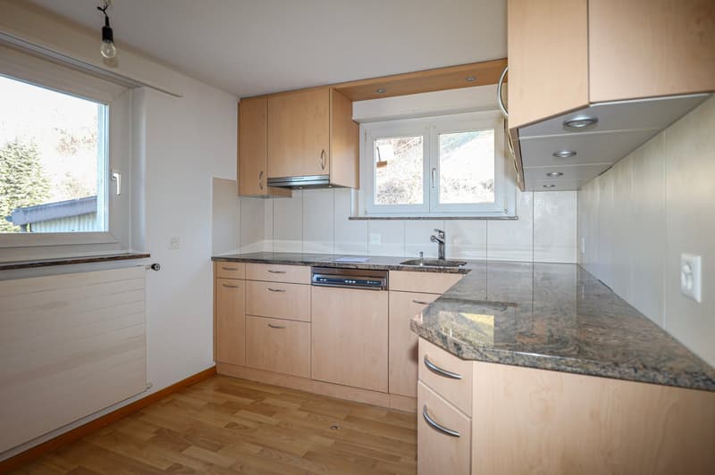 3,084 m² sunny slope paradise - with a lucrative three-family house (29)