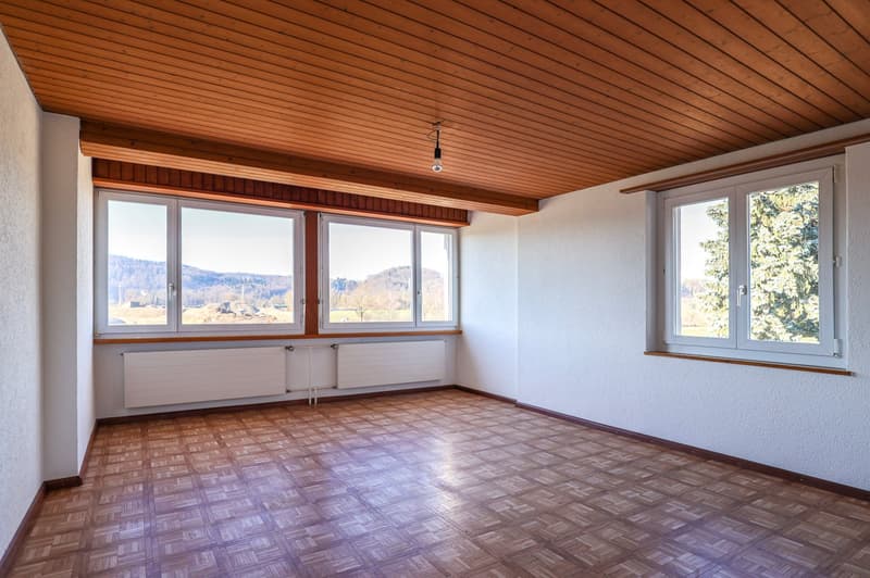 3,084 m² sunny slope paradise - with a lucrative three-family house (31)
