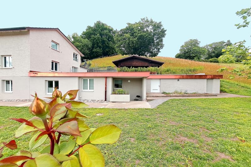 3,084 m² sunny slope paradise - with a lucrative three-family house (2)