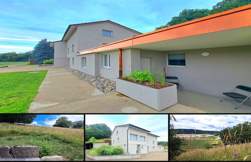 3,084 m² sunny slope paradise - with a lucrative three-family house (1)