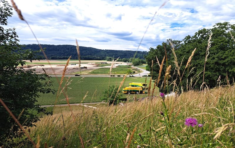3,084 m² sunny slope paradise - with a lucrative three-family house (14)