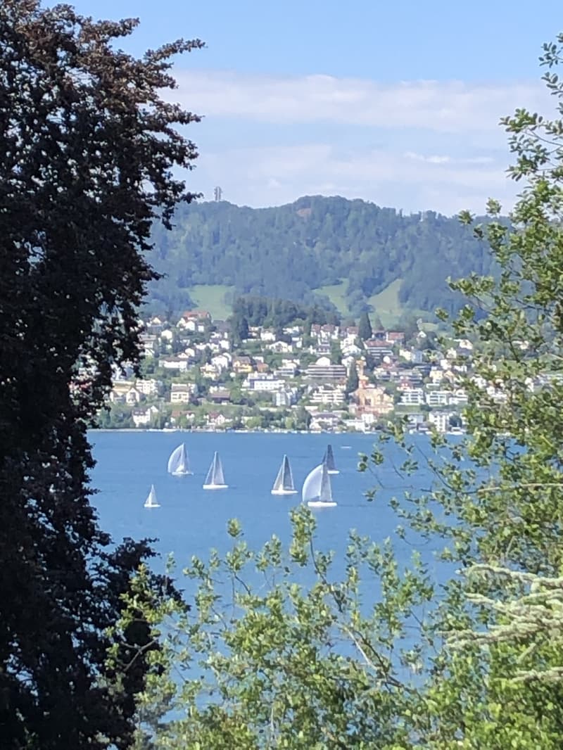 Helle, moderne Wohnung mit Seesicht (1)